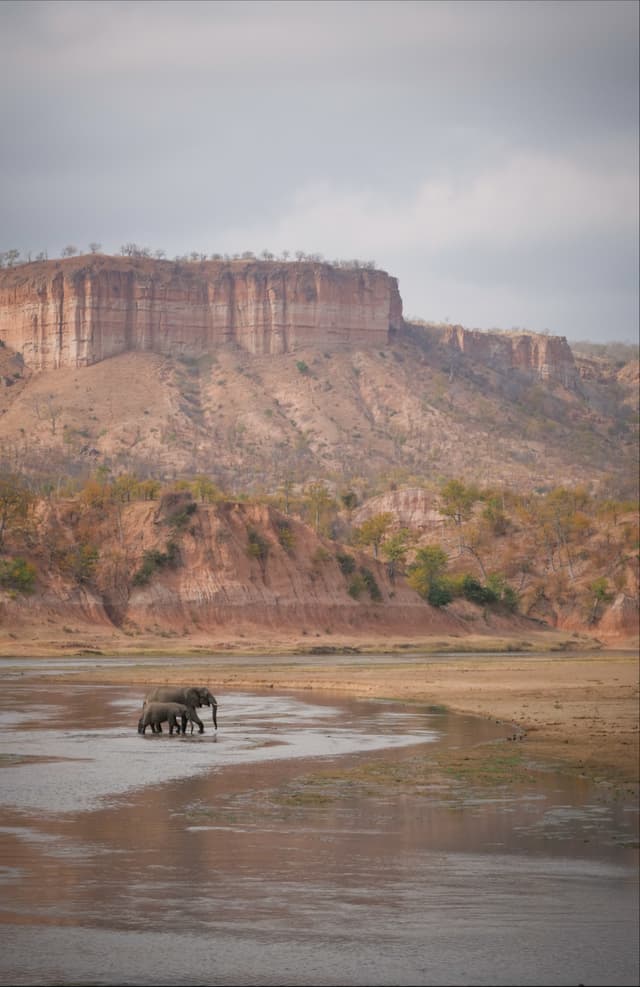 Gonarezhou National Park