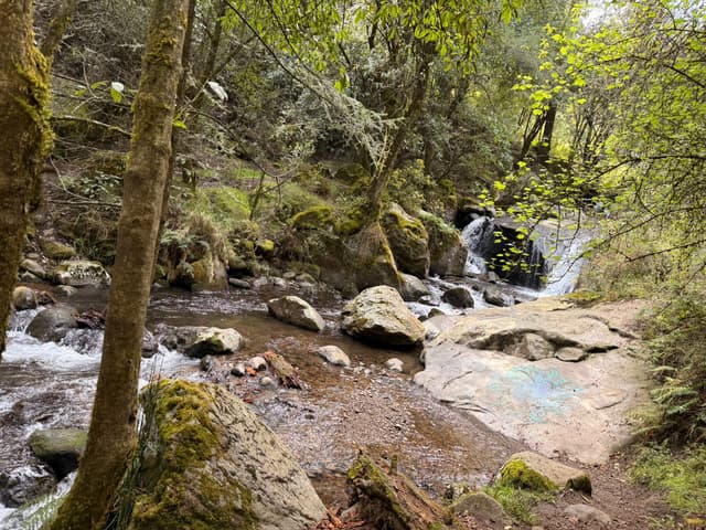 Parque Nacional Los Dinamos
