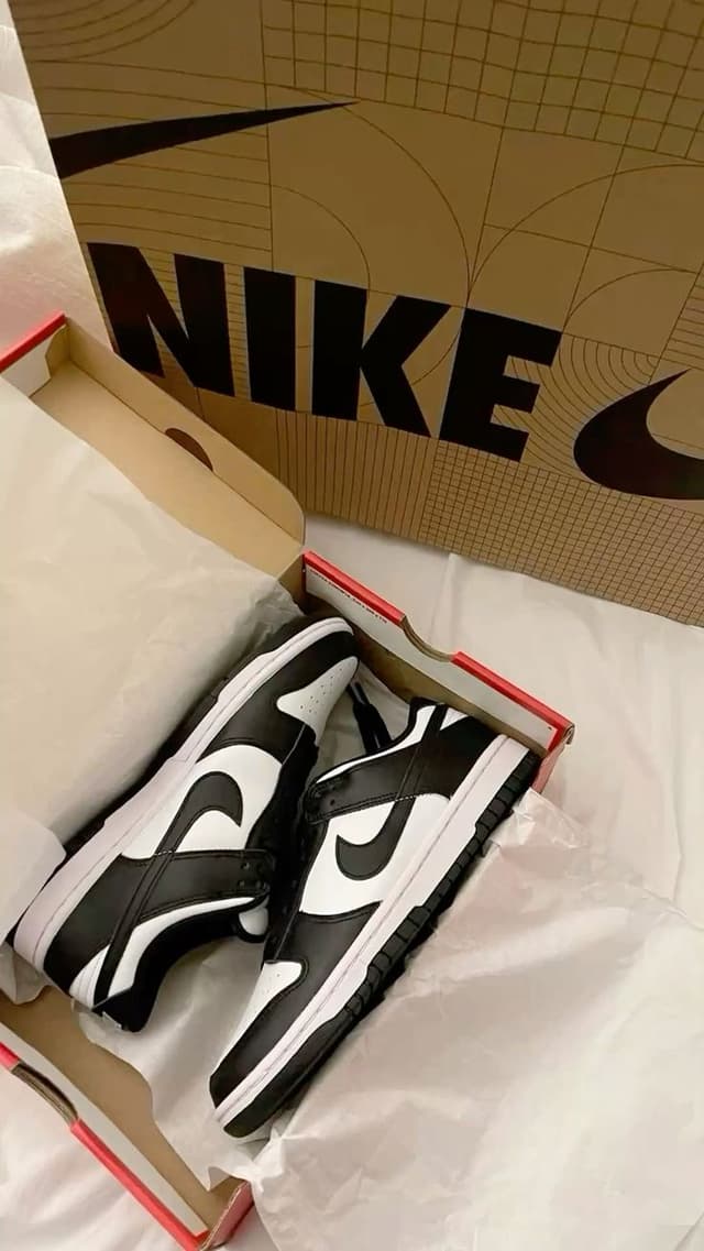 Dunk Panda - Nike