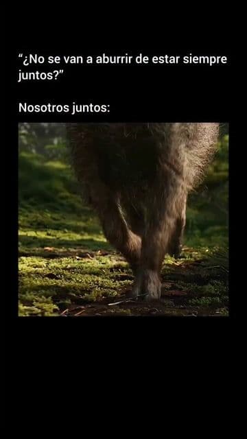 El Rey León Simba es un joven león destinado a ocupar algún día su lugar en el Círculo de la Vida, pero su viaje comienza con la curiosidad, la amistad y el aprendizaje de lo que realmente significa ser valiente. A medida que crece, Si