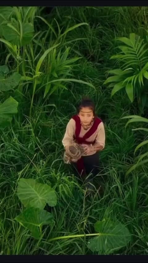 Kaylee Hottle impactó al público como Jia en la película ‘Godzilla vs Kong’ de 2021, conectando emocionalmente con King Kong. Su interpretación dio un giro único a la saga 'Godzilla vs Kong: El nuevo imperio'.
