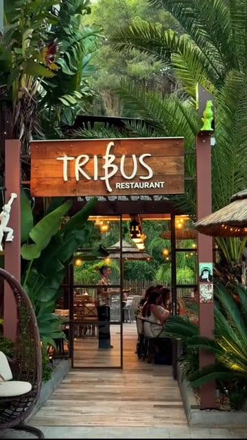 Restaurant Tribus by Casa Coco