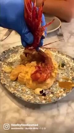 PAPATINTE