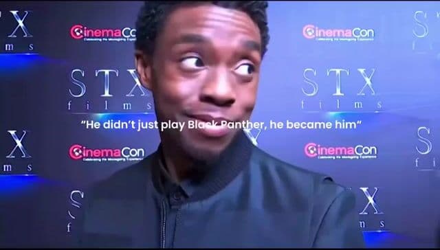 En 'Black Panther', Chadwick Boseman se sumergió en la cultura africana durante la preparación del papel de T’Challa, aportando autenticidad y profundidad al icónico superhéroe de Marvel.