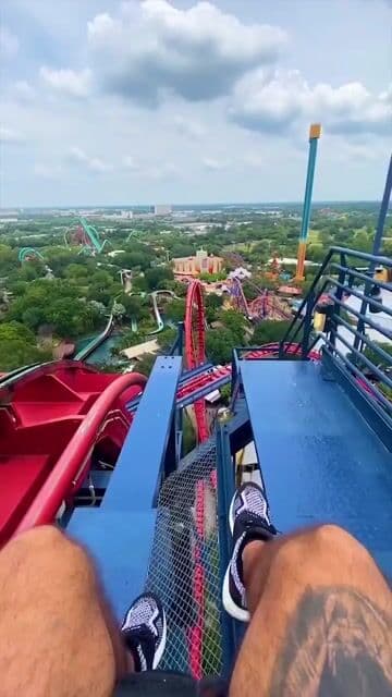 Busch Gardens Tampa… ¿te subes o te bajas?