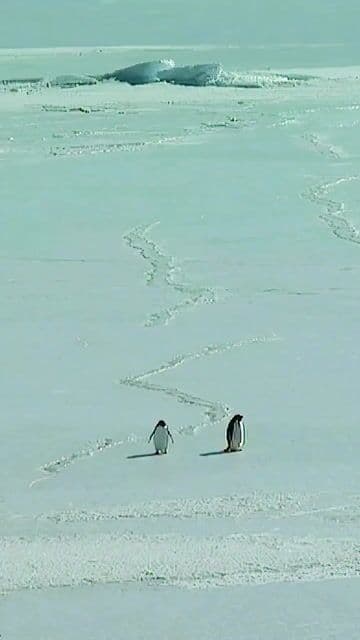 En medio del hielo y el silencio, Nolan convierte un simple plano en pura tensión. Lo que parece un paisaje tranquilo esconde peligro real. Una escena que demuestra cómo el espacio… y los planetas, nunca son lo que c