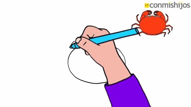 Aprende a dibujar la base de un Cangrejo 