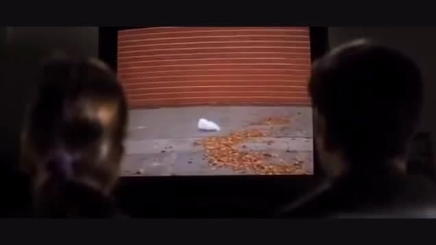 American Beauty