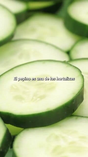 La hortaliza más refrescante del verano.