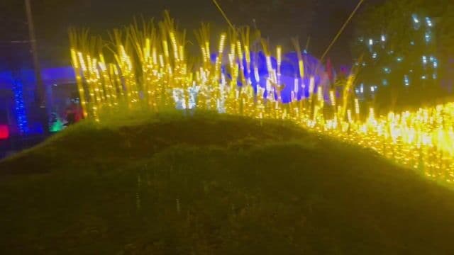 Luces