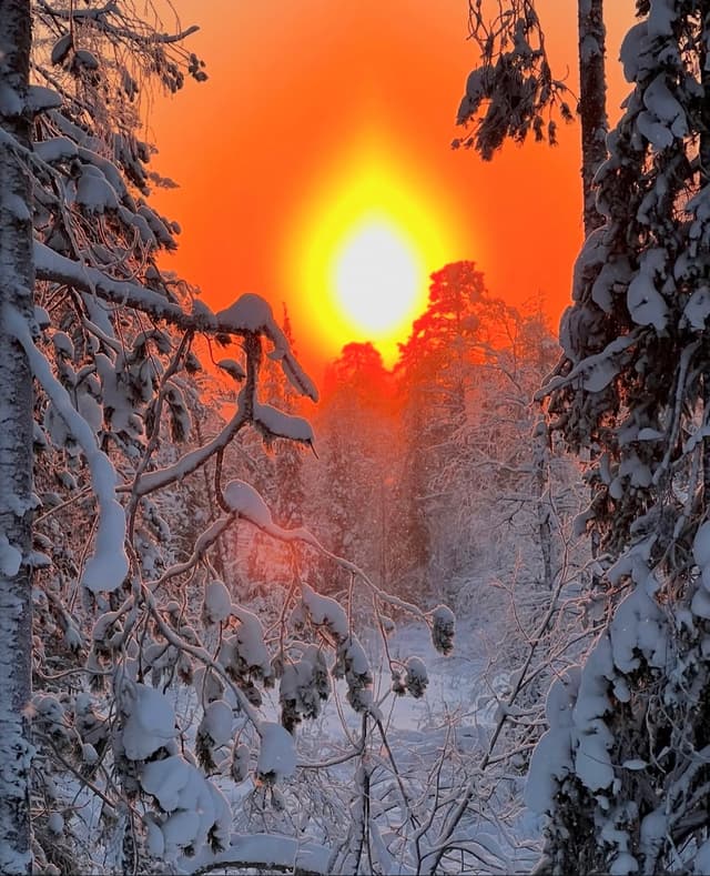 Cabalgata bajo nieve