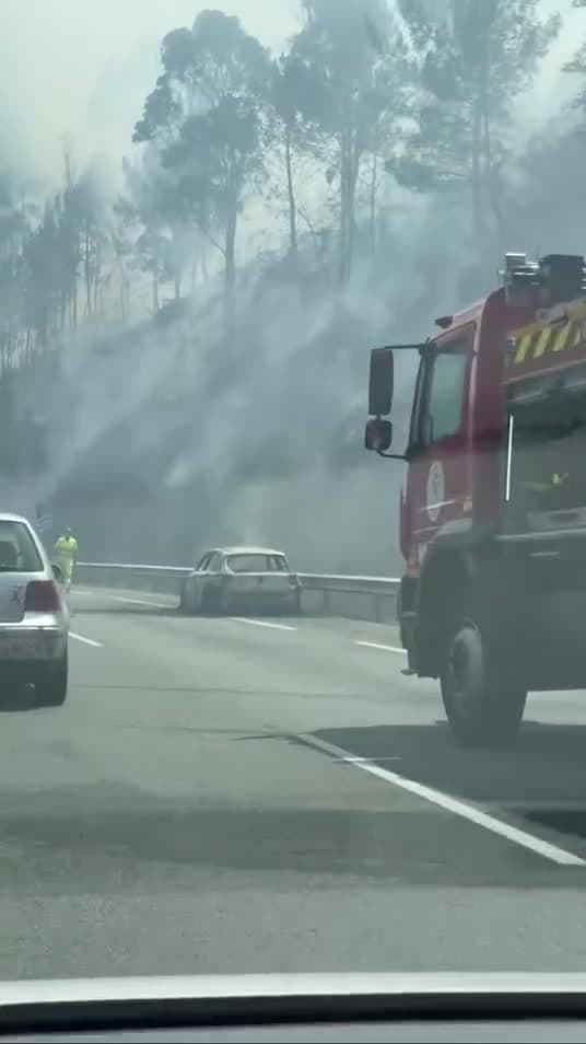 Incendio forestal en la AP-9 por coche calcinado en Padrón