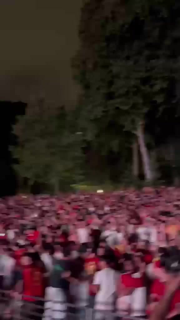 Gol anulado a España frente a Argentina en Castrelos