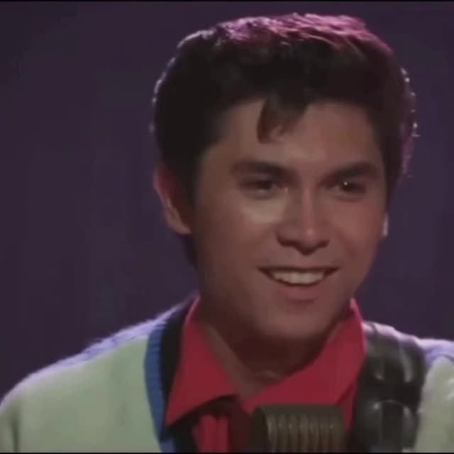 En la película 'La Bamba', los temas del protagonista no fueron cantados por Lou Diamond Phillips, sino por David Hidalgo, músico de Los Lobos. Su versión de “La Bamba” lideró las listas en 1987.