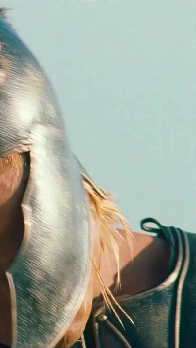 La escena del duelo entre Aquiles y Héctor en 'Troy' enfrenta dos conceptos opuestos de lucha: la venganza personal versus la defensa del hogar. Brad Pitt y Eric Bana transmiten la tensión y el destino fatídico que define este combate épico.