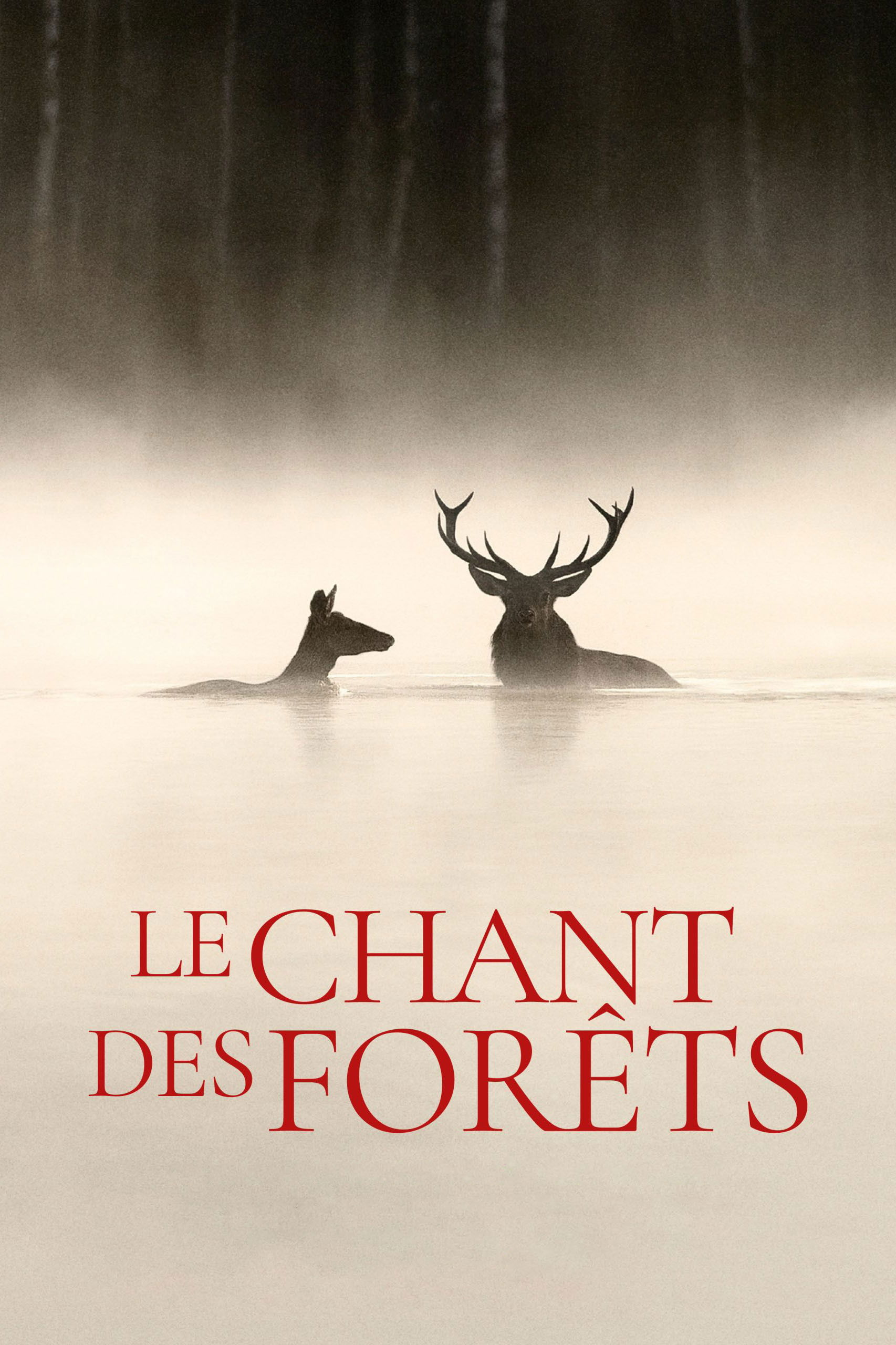Película Le Chant des forêts