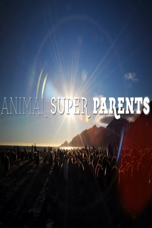 Serie Animal Super Parents