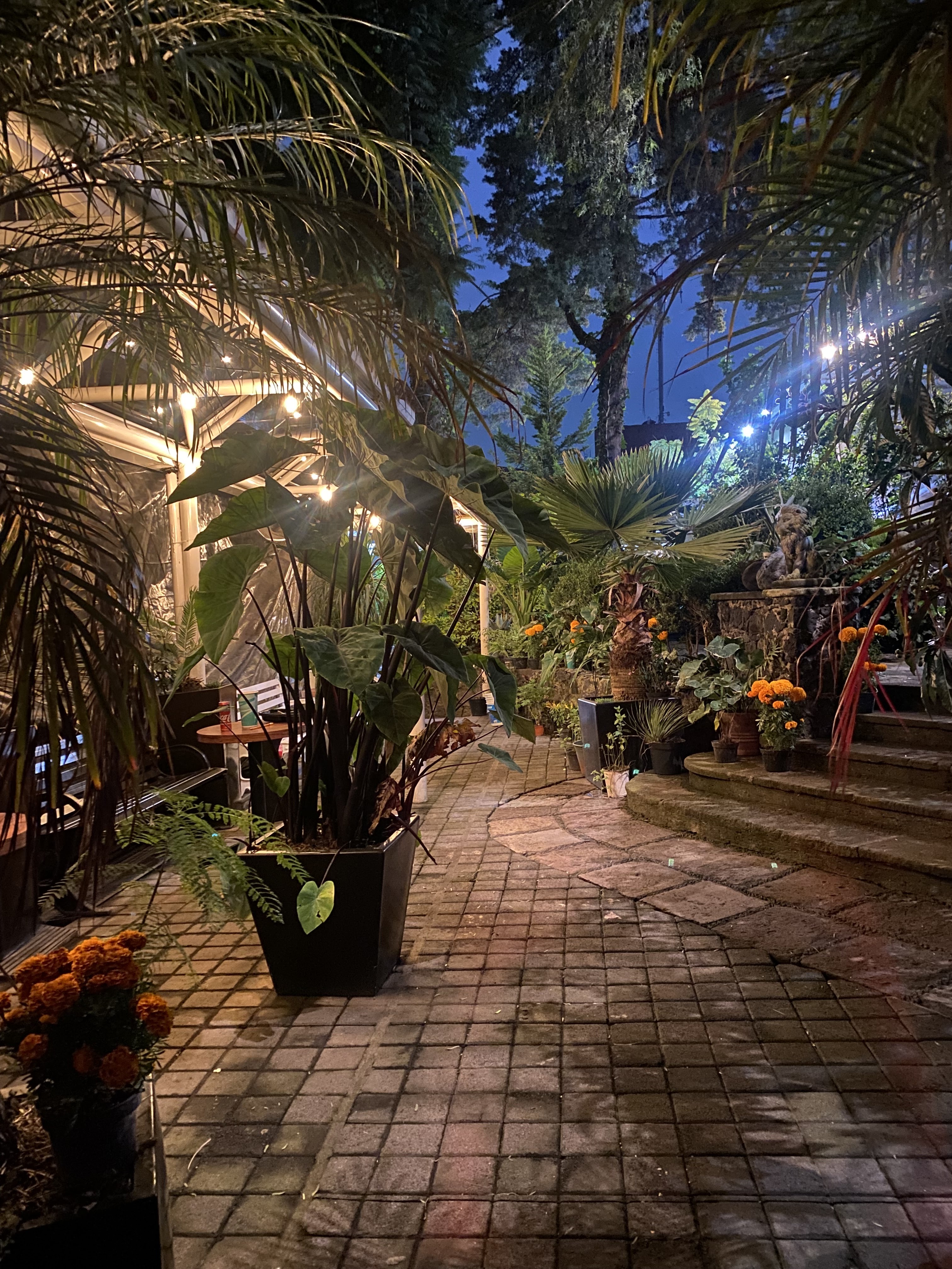 Place Vive el Terror MX