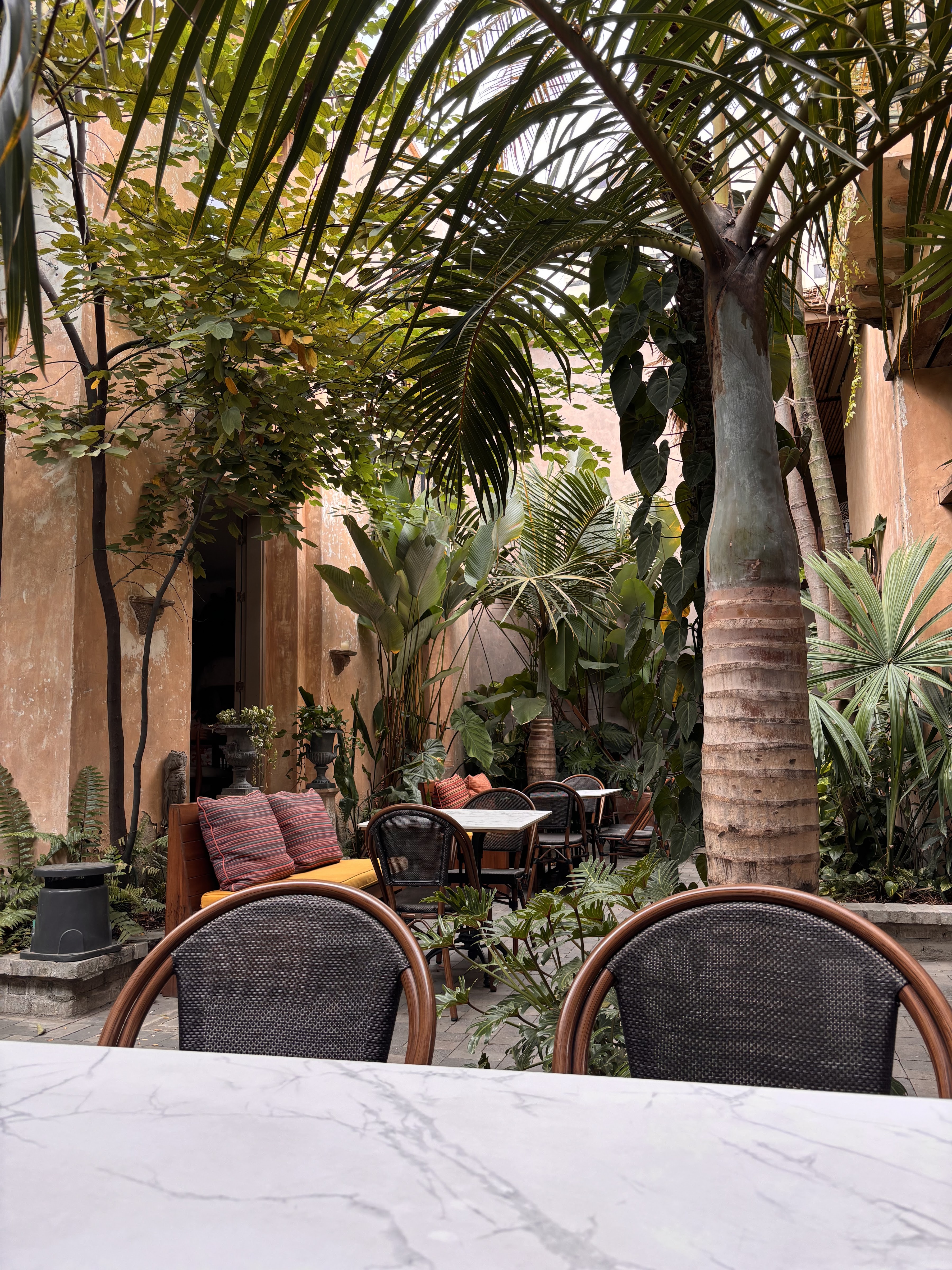 Restaurantes Gente Común Restaurante