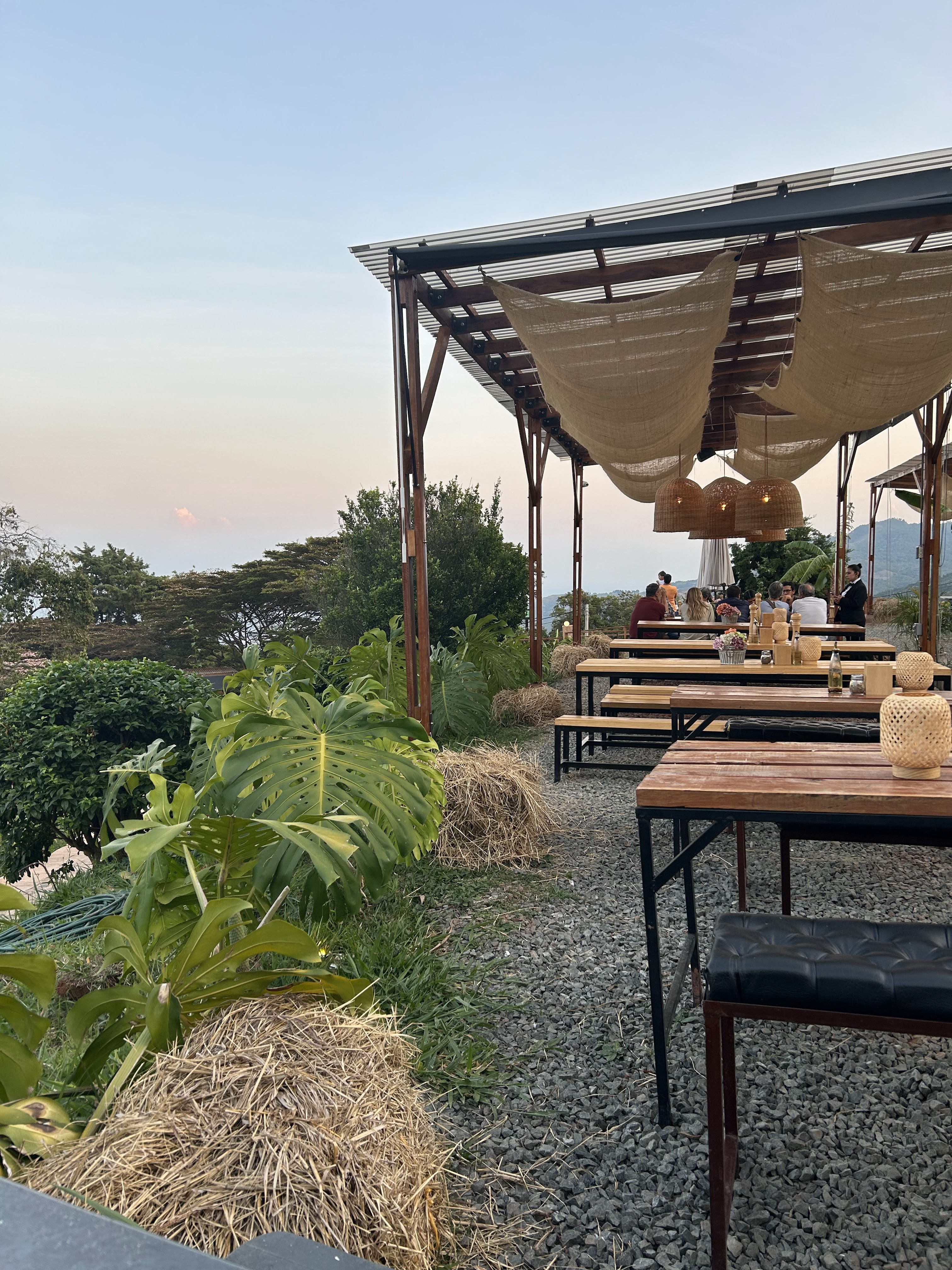 Restaurantes La Fugitiva Pizzeria DAPA