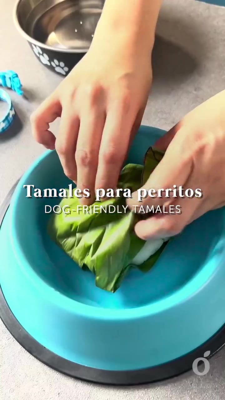 Porque en la Candelaria nadie se queda fuera  Este tamal para perro es