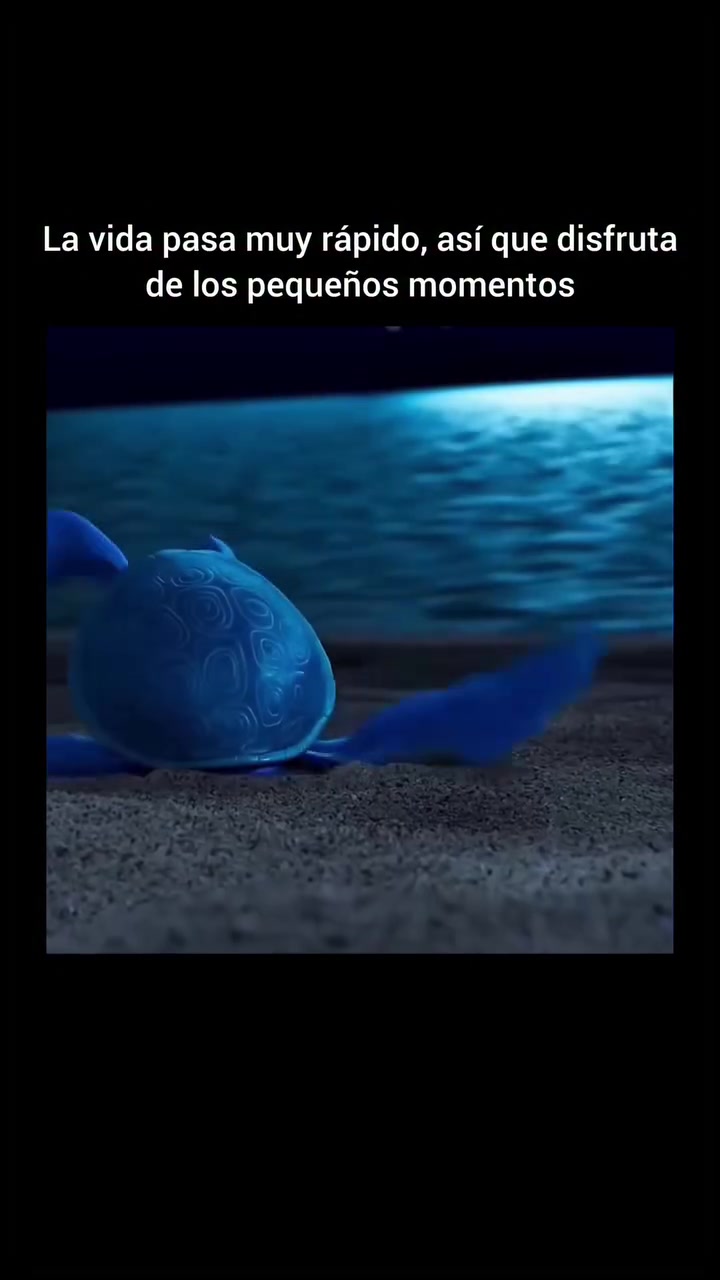 'HOPE': la tortuga con una aleta más pequeña