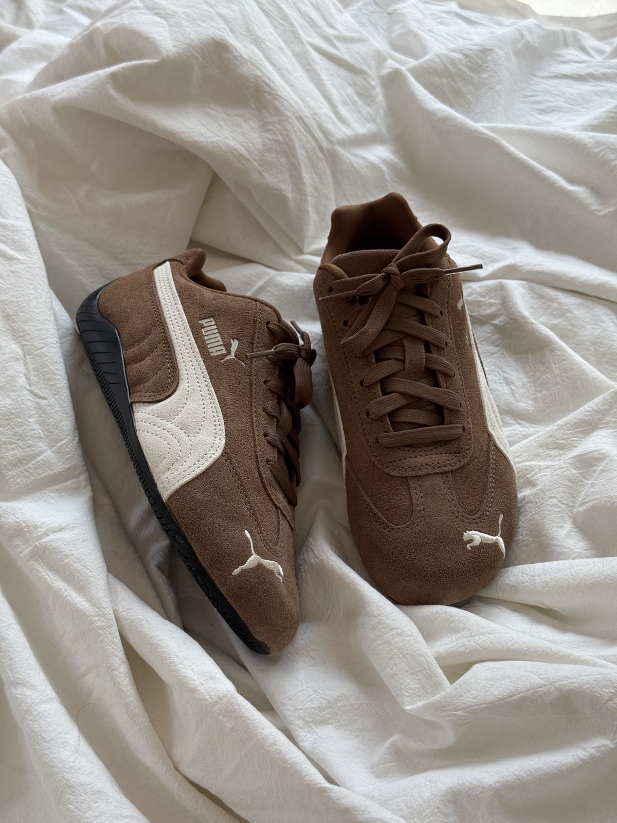 pumaspeedcat