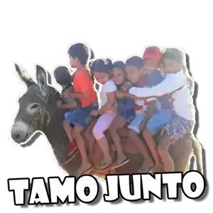 Social engraçado pra colocar em grupo de amigos 