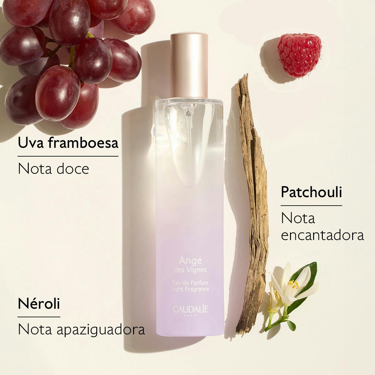 Social Eau de Parfum Ange des Vignes