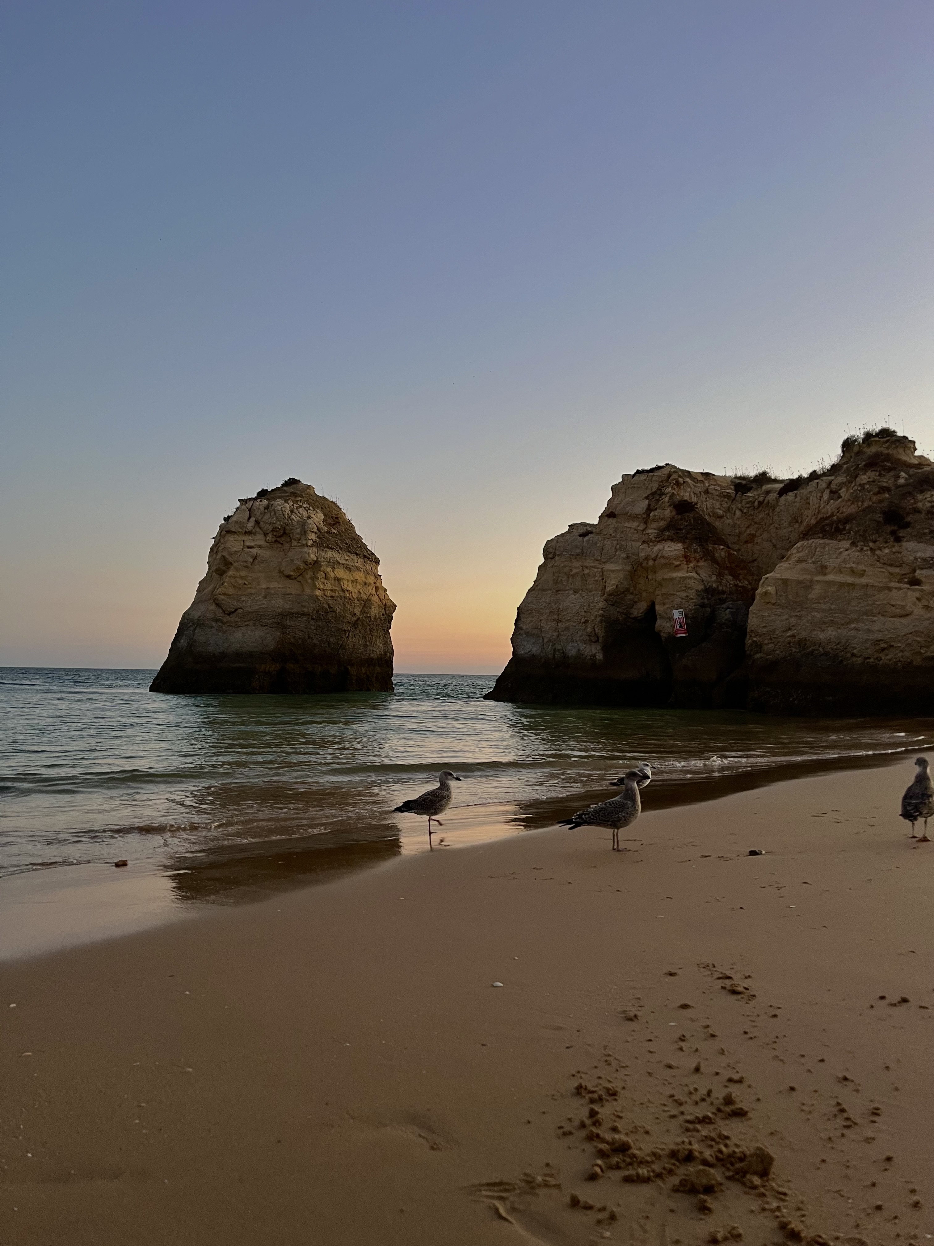Lugar Praia da Rocha