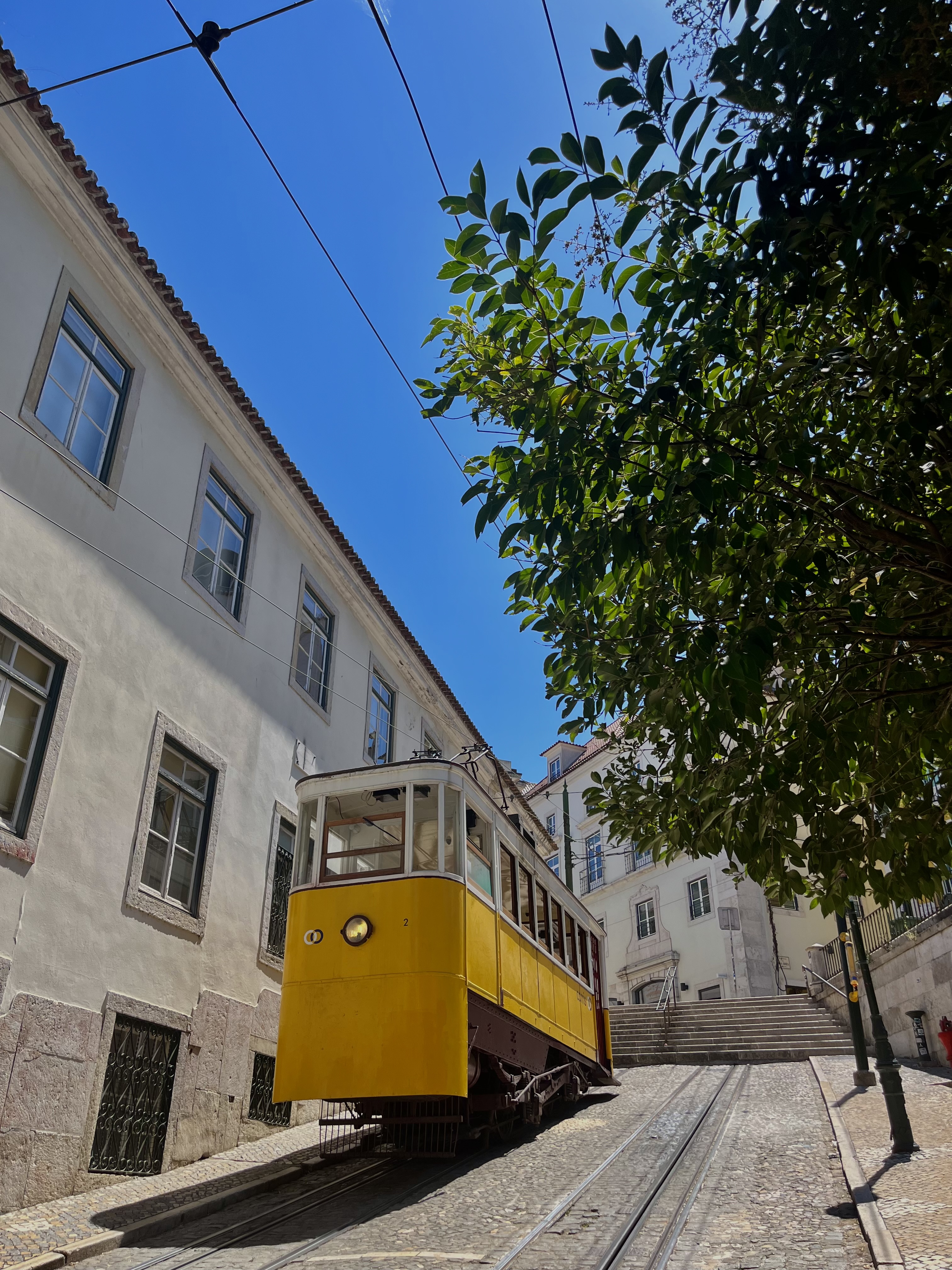 Lugar Elevador da Glória