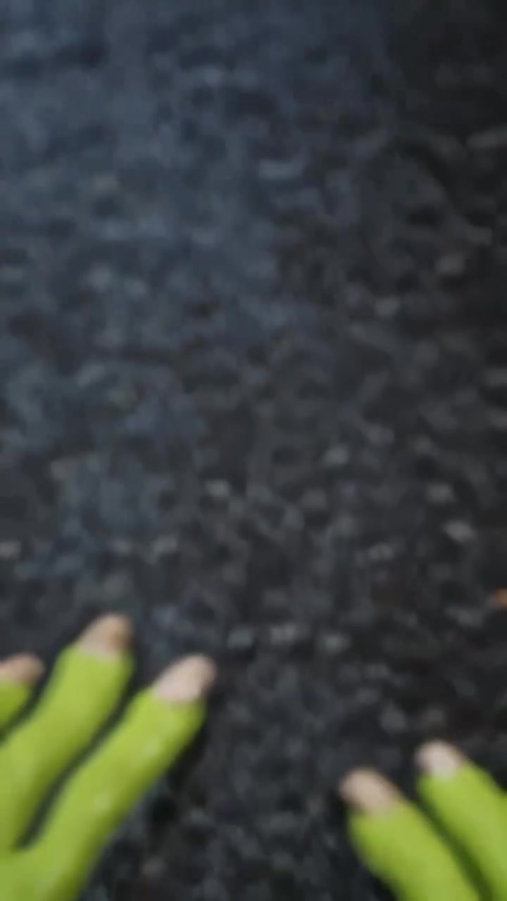 Social Monstruos SA convertido en zona de guerra multiversal