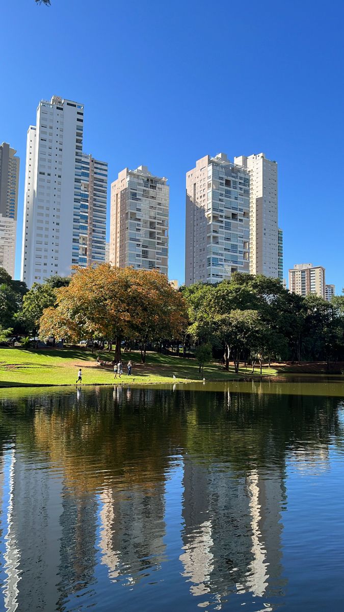 Social Goiânia 