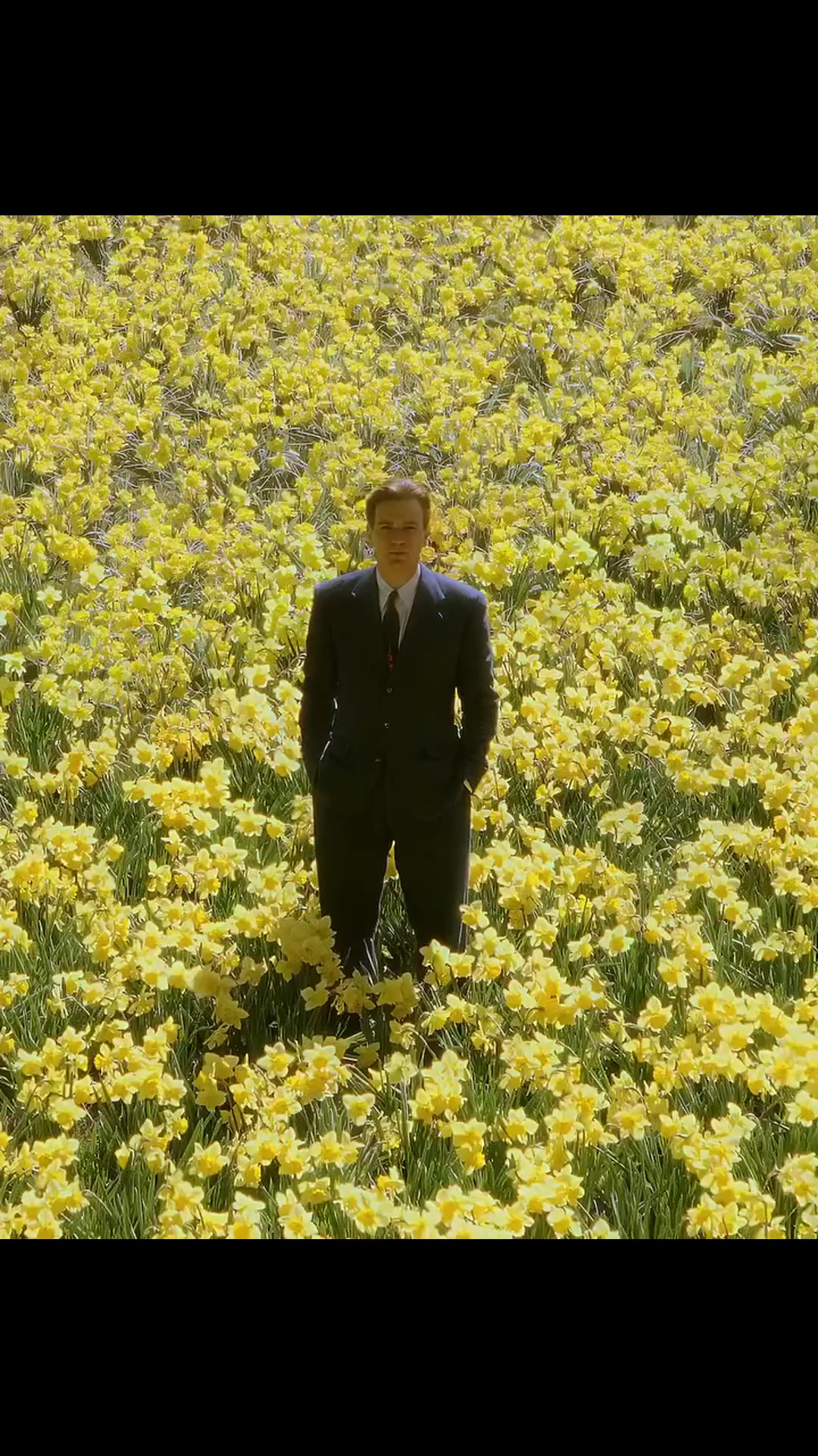 10.000 narcisos plantados a mano para una sola escena. Tim Burton convirtió un campo en Alabama en pura poesía visual. Ewan McGregor entre flores no es solo cine… es uno de los momentos más mágicos y románticos jamás filmados.