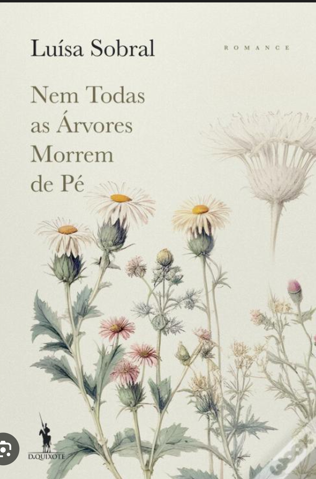 Social Luísa Sobral - Nem todas as árvores morrem de pé 