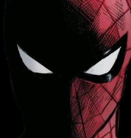 Social Espetacular homem aranha 