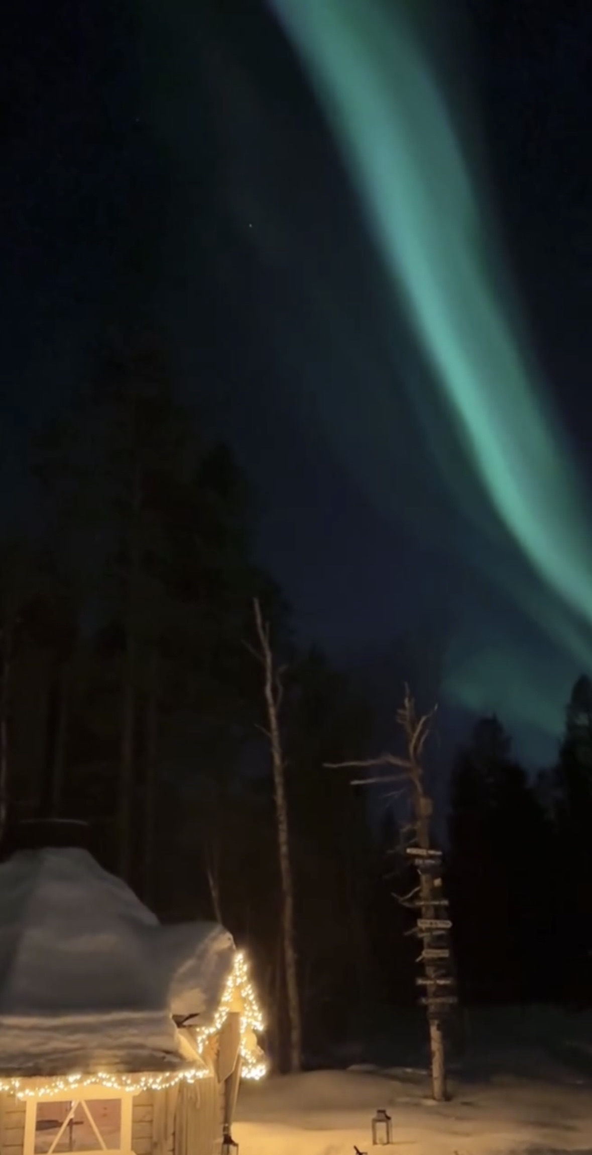 Social Auroras