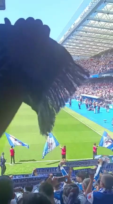 Himno gallego en el estadio de Riazor Día das Letras Galegas