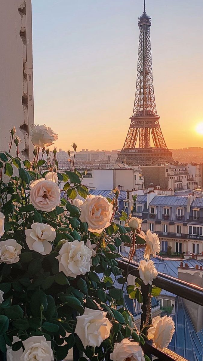 Social paris✨️😍