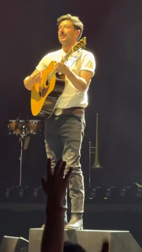 Music Little Lion Man