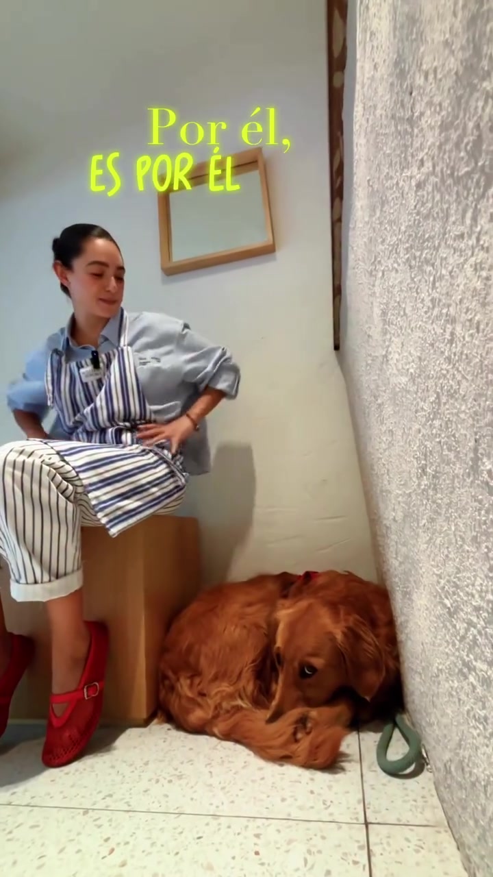 Berrinche: helados de yogur y un perrito que te recibe