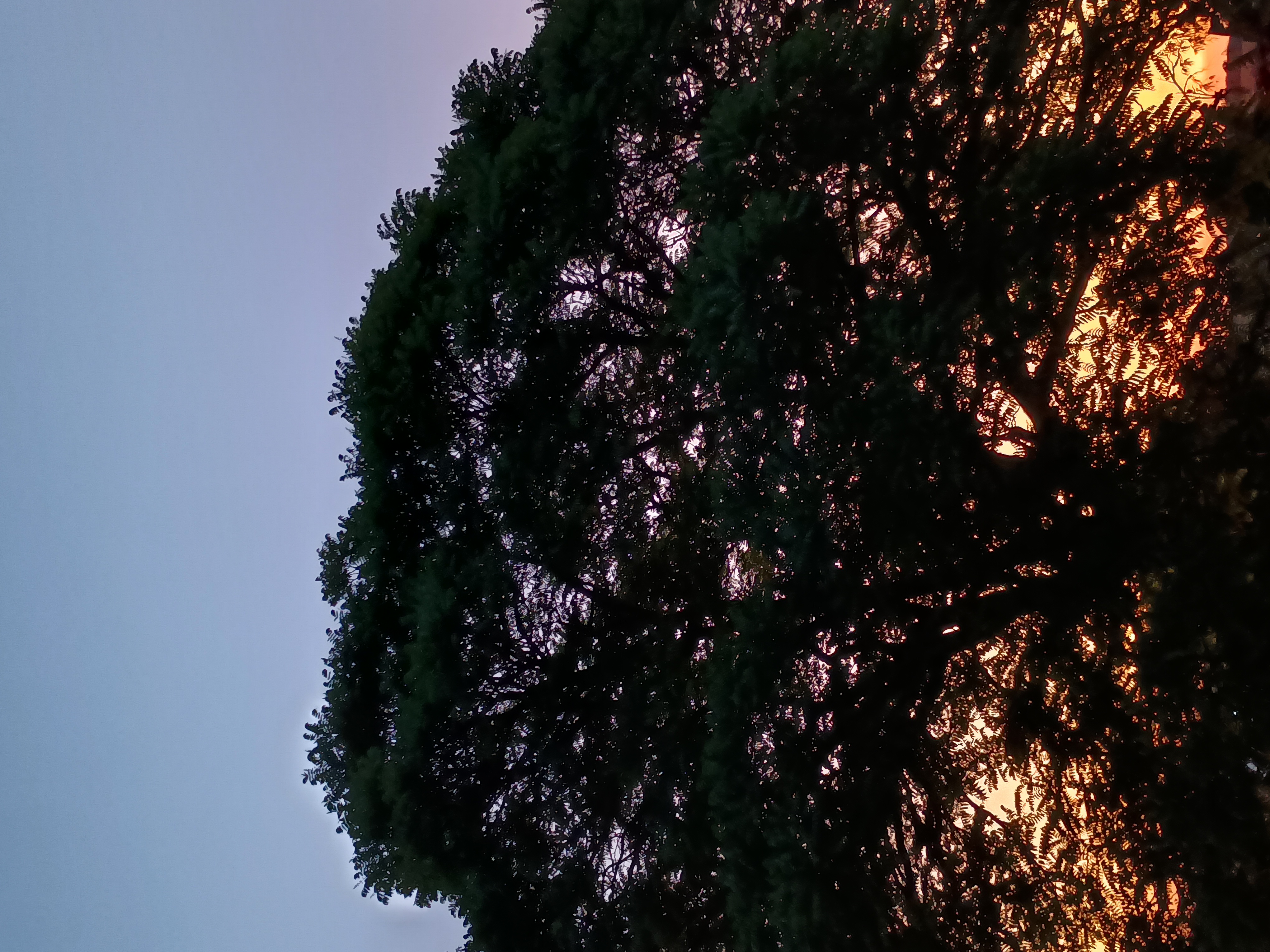 Social Aproveite sua vida do seu jeito...