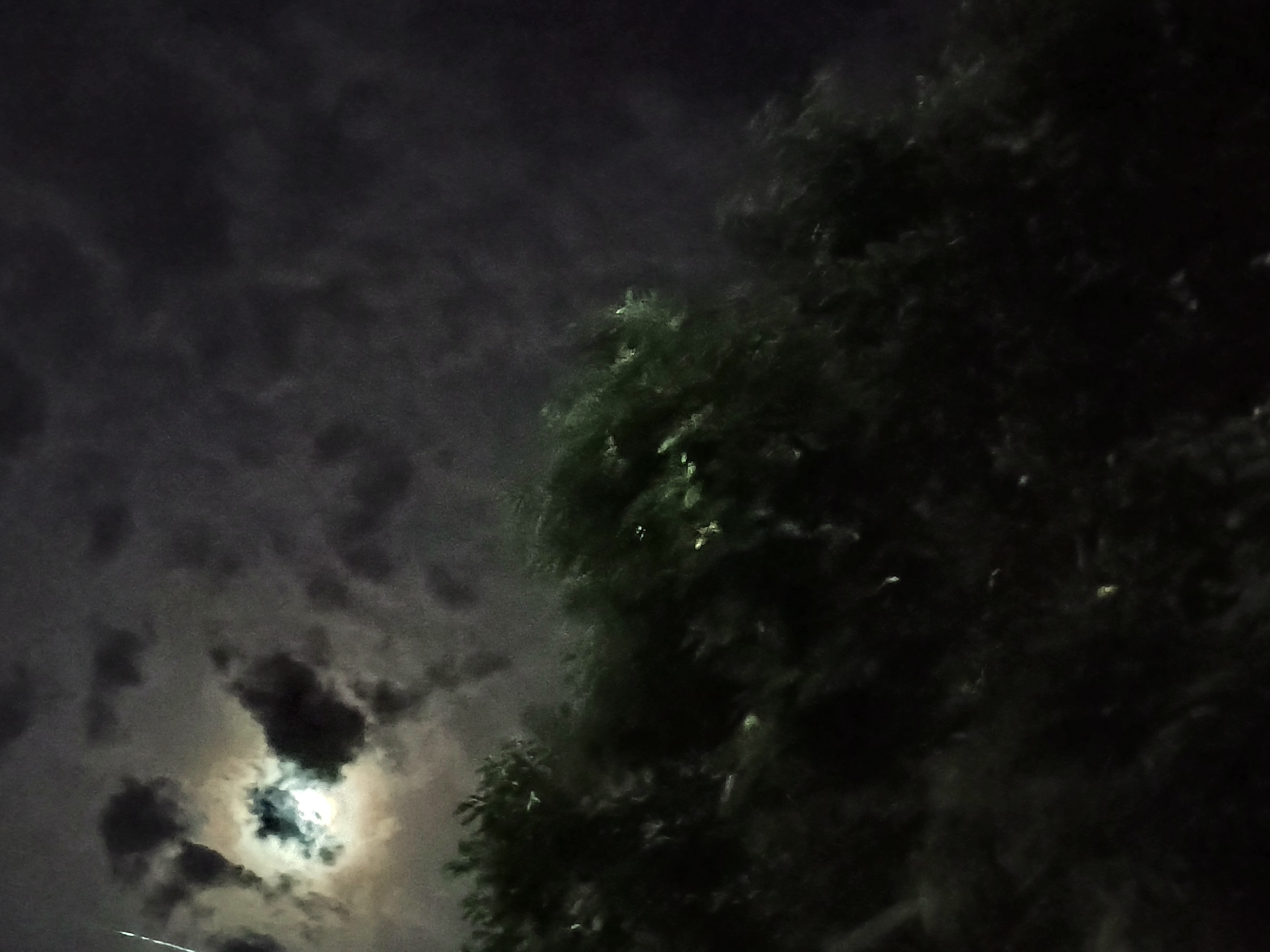 Social Em algum lugar do mundo sempre avera paz.