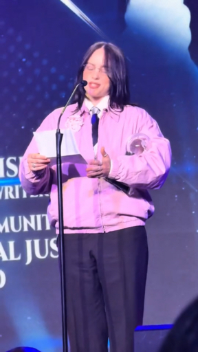 Social Billie Eilish al rosa🌸