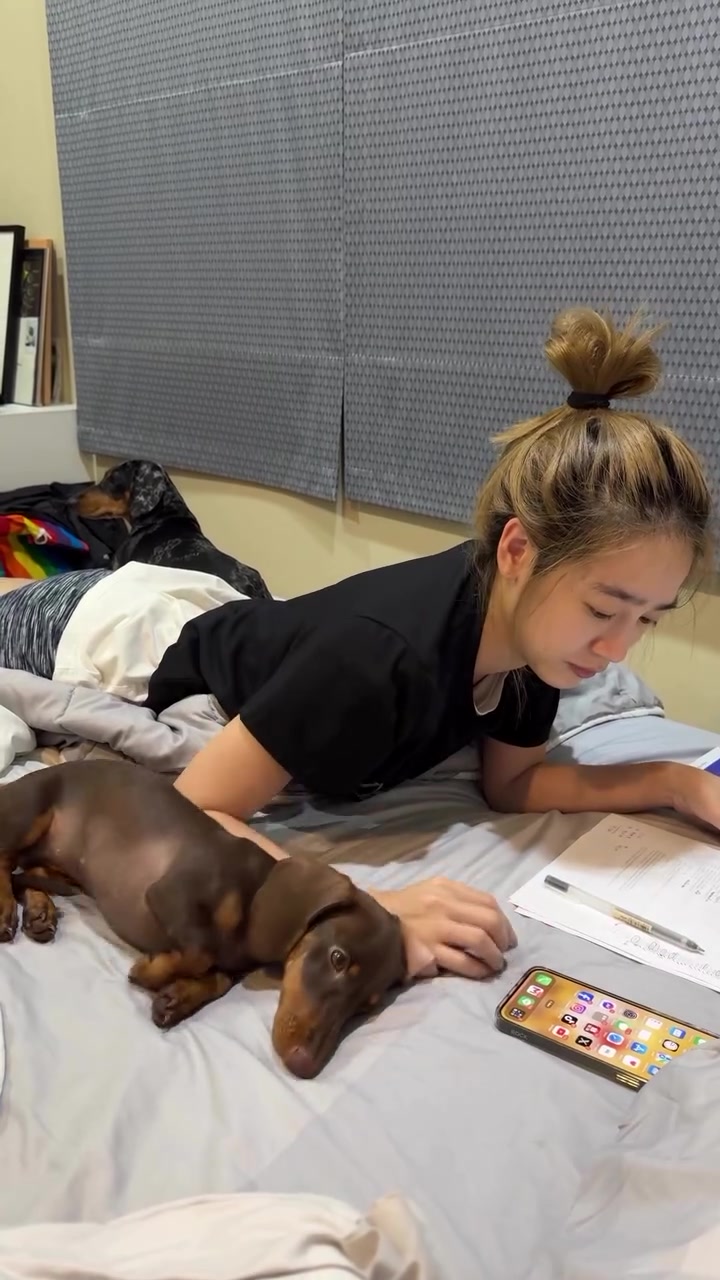 La vida es mejor con un compañero de estudio 🐶📚