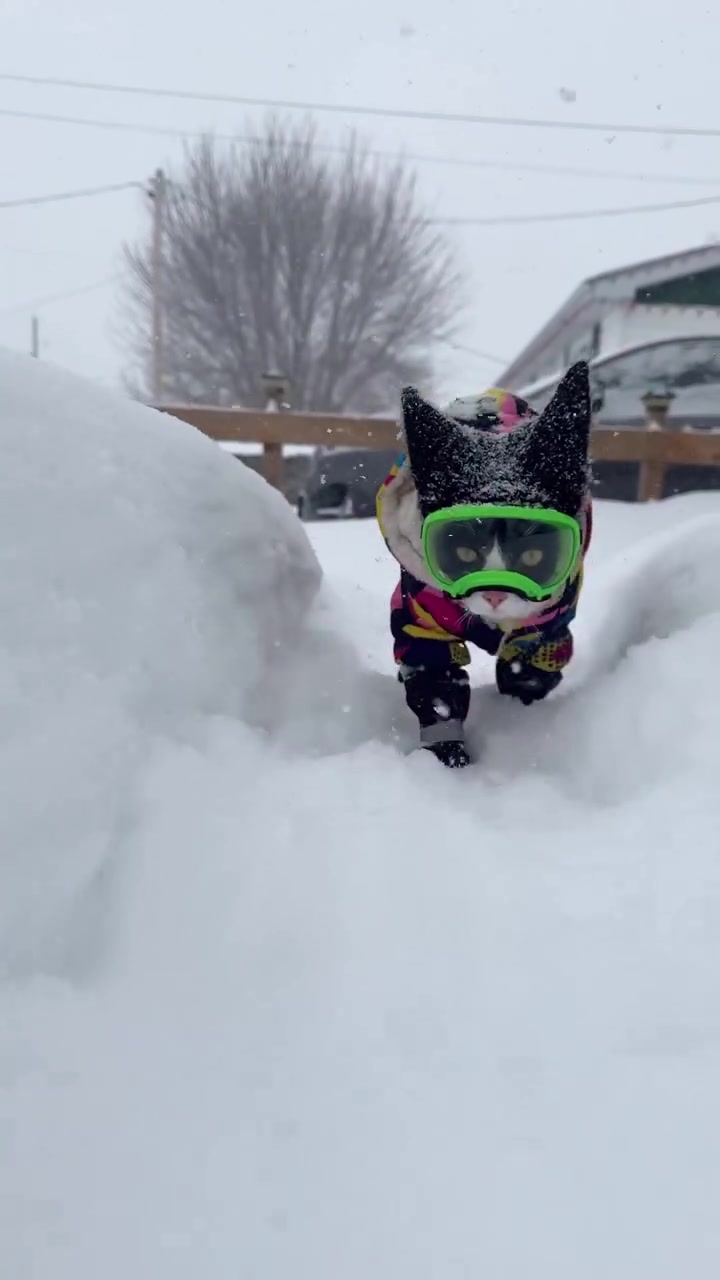 Outfit de nieve impecable ❄️