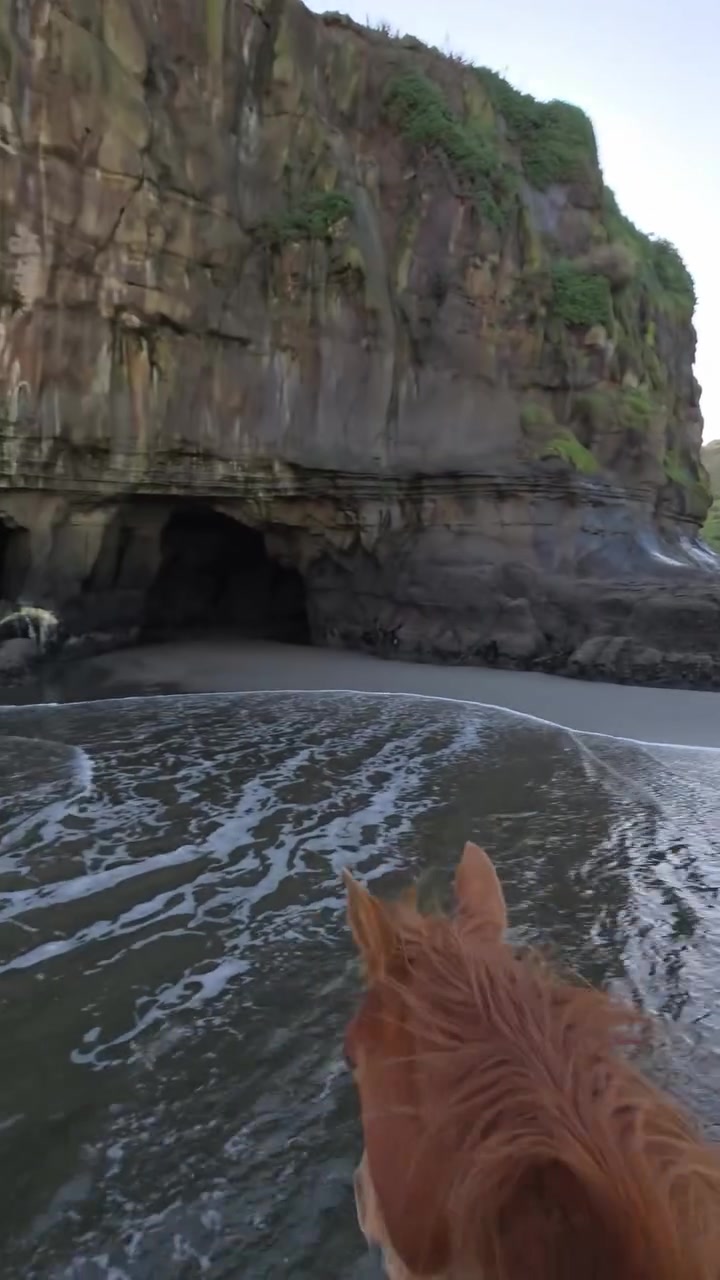 Aura majestuosa 🐎