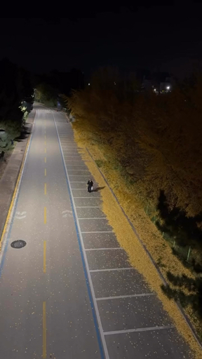 Social Felicidad en estado puro🕺