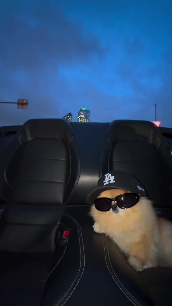 El aura de Kori está por las nubes 😎