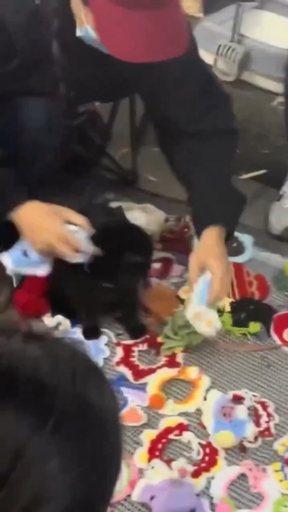 Social Tentación muy tierna🥺